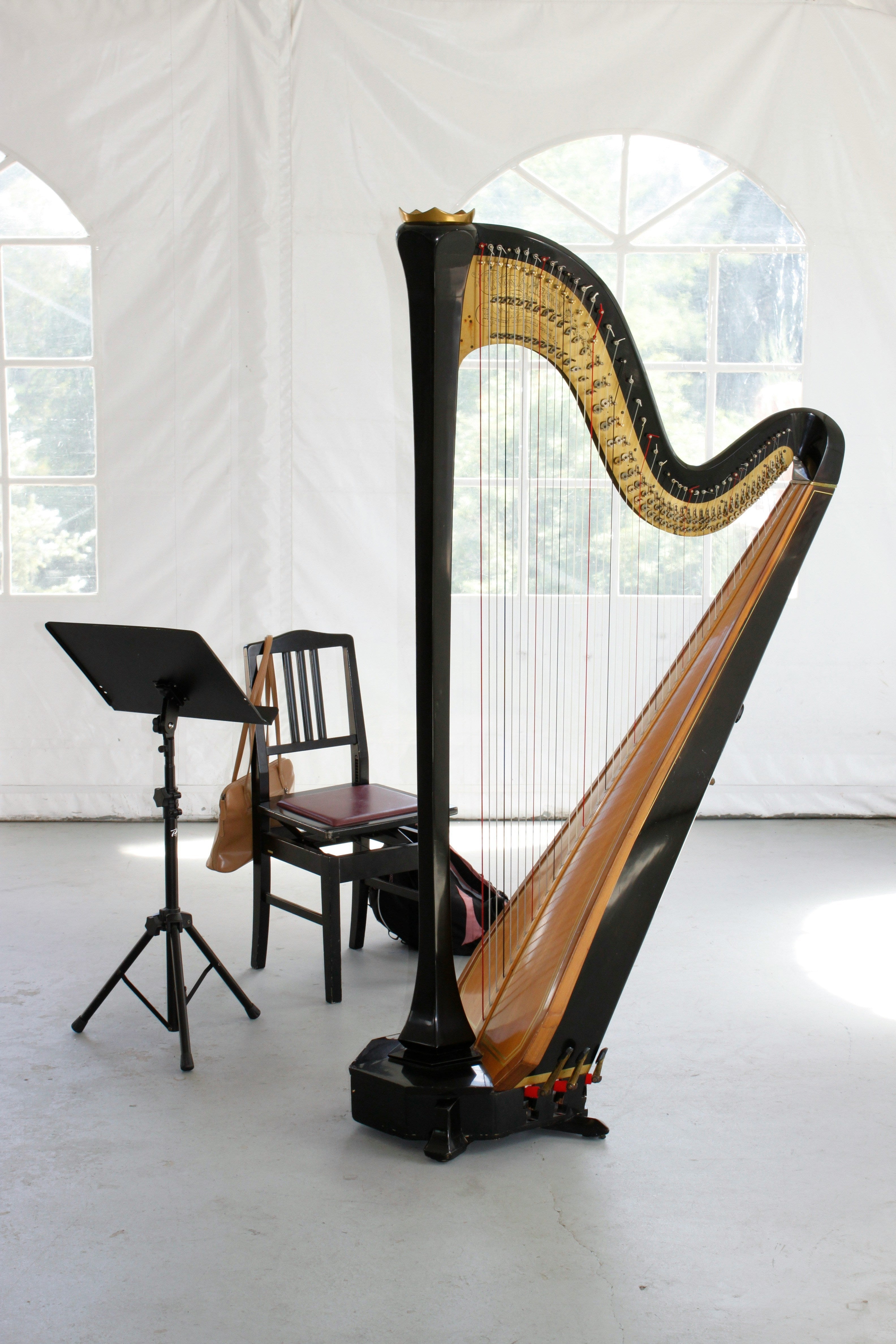 Live Music